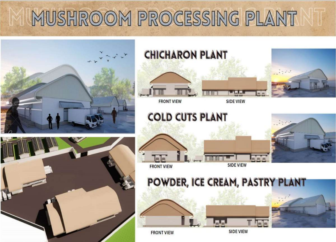 Screenshot 2025-11-21 215253