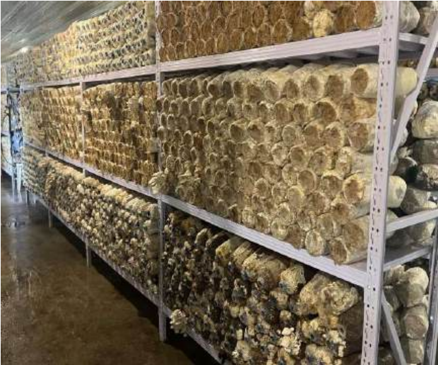 Screenshot 2025-11-21 215431